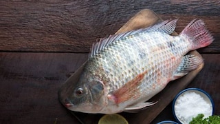 প্রতীকী ছবি