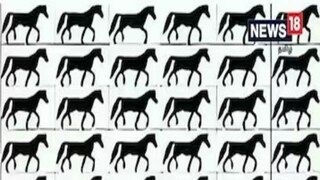 সারি সারি ঘোড়ার ভিড়ে লেজবিহীন ঘোড়াটিকে দেখতে পাচ্ছেন? নিজের দৃষ্টিশক্তি একবার পরখ করে দেখবেন না কি?