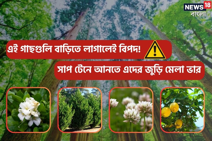 সাপ নিয়ে মিথ যত, মিথ্যাও তত বেশি। সুপ্রাচীনকাল থেকে সাহিত্য, সংস্কৃতি আর কল্পনার একটা বড় অংশ জুড়ে রয়েছে উরগেরা, অর্থাৎ বুকে ভর দিয়ে চলা-ফেরা করে যারা। এই সব কল্পনার অধিকাংশই ভিত্তিহীন, যেমন, সাপ দুধ খায়, বাঁশির সুরে নাচে। কিন্তু সুগন্ধ? তা কি সত্যি আকৃষ্ট করে থাকে সাপেদের?