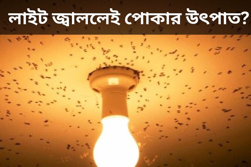 বর্ষাকালে বাড়ে পোকামাকড়ের উ‍ত্‍পাত। মশা, মাছি থেকে শুরু করে বিভিন্ন পোকার জ্বালায় মাঝে মাধ‍্যেই অতিষ্ঠ হয়ে ওঠেন সকলে। বিশেষত লাইট জ্বালালেই ঘরে ঢুকে আস ঝাঁকে ঝাঁকে পোকা। কিন্তু কয়েকটি ঘরোয়া উপায়ে খুব সহজেই বাড়ি থেকে পোকাদের বিদায় করা সম্ভব। 