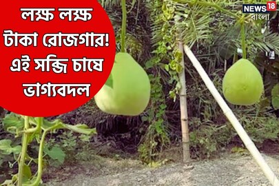 এই সব্জি চাষ করে ভাগ্যবদল করুন