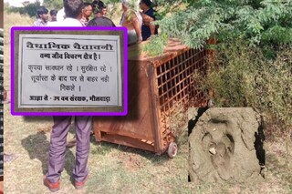 চিতাবাঘের আতঙ্কে ঘরবন্দি গোটা গ্রাম
