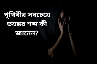 মড়ার মাথার খুলিতে ফুঁ! পৃথিবীর সবচেয়ে ভয়ঙ্কর শব্দ কী জানেন? বিজ্ঞানীদের হাড়হিম করা আবিষ্কার