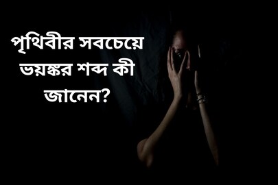মড়ার মাথার খুলিতে ফুঁ! পৃথিবীর সবচেয়ে ভয়ঙ্কর শব্দ কী জানেন? বিজ্ঞানীদের হাড়হিম করা আবিষ্কার