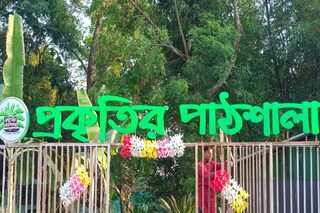 কলকাতার অদূরে ট্রি হাউস! পুজোর ছুটিতে ঘুরে আসুন প্রকৃতির পাঠশালায়