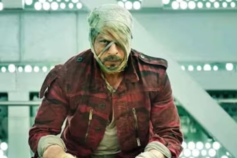 কিন্তু বর্তমানে অভিনেত্রী 'জওয়ান' নিয়ে বেশ বিরক্ত হয়েছেন বলে শোনা গিয়েছে। 'জওয়ান'-এ দ্বৈত চরিত্রে দেখা গিয়েছে কিং খানকে। মাত্র ১৩ দিনের মধ্যেই বিশ্বব্যাপী প্রায় ৯০০ কোটি টাকা আয় করেছে ছবিটি। আর তাঁর মধ্যেই অনেকের অনুমান নয়নতারা বলিউডের তাঁর প্রথম কাজ নিয়ে খুব একটা খুশি নন।