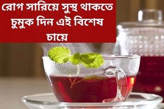 ভুলে যাবেন  গ্রিন টি, দুধ চা! স্বাদের সঙ্গে স্বাস্থ‍্যেরও খেয়াল রাখবে  লাল চা
