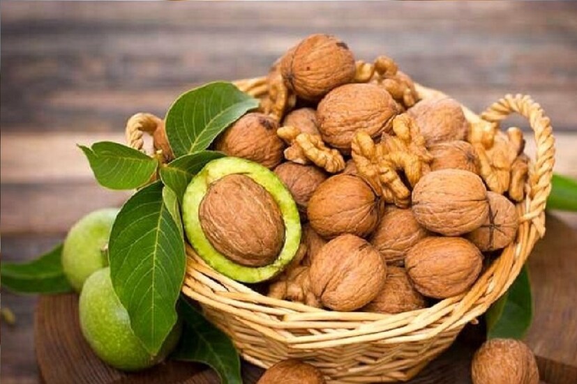 গবেষণায় আরও দেখা গিয়েছে আখরোট ওমেগা ৩ ফ্যাটি অ্যাসিড, অ্যান্টিঅক্সিডেন্ট, সেই সঙ্গে মেলাটোনিন (ঘুম প্ররোচিতকারী হরমোন), পলিফেনল, ফোলেট এবং ভিটামিন ই-তে পূর্ণ। এর সবকটাই সুস্থ মস্তিষ্ক এবং অন্ত্রকে ভাল রাখতে সাহায্য করে। সম্প্রতি বিশ্ব স্বাস্থ্য সংস্থা জানিয়েছে, ২৪ বছরের কম বয়সিরাই ৭৫ শতাংশ মানসিক ব্যাধিতে আক্রান্ত হন।