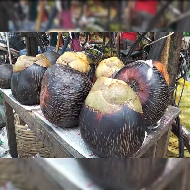 তালের পিছন দিকে দেখবেন সোনালি, গেরুয়া বা কমলা রং আছে কিনা। যদি থাকে, তাহলে সেই তালের স্বাদ ভাল হওয়ার কথা। 