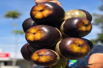 বাজারে
