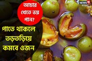 আচার খেতে ভয় পান? পাতে থাকলে তড়তড়িয়ে কমবে ওজন, গায়েব হবে স্ট্রেস