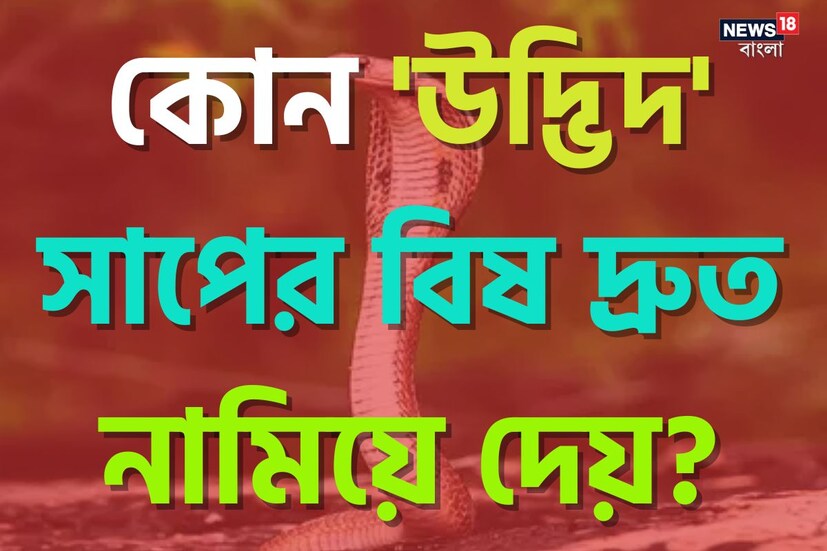 সাধারণ জ্ঞান মানুষকে জীবন ও পেশাগত দিক থেকে উন্নত করে তোলে। এই জ্ঞান ইতিহাস, ভূগোল, বিজ্ঞান, সাহিত্য, কারেন্ট আফেয়ার্স এবং আরও নানা বিষয়ের হয়ে থাকে। যা আপনাকে আশেপাশের দেশ দুনিয়া সম্পর্কে আরও জ্ঞানী করে তোলে। আপনি ক্রমশ এই চর্চার মধ্যে দিয়ে জিনিয়াস হয়ে ওঠেন।