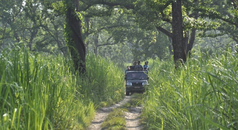 জলদাপাড়ায় হাতি সাফারি নিয়মিত চালু ছিল। গতবার এখানে হাতি সাফারির জন্য পর্যটক পিছু দিতে হত ৯০০ টাকা। এবার সেই খরচ বাড়িয়ে ১ হাজার টাকা করা হয়েছে। এবার গরুমারা অভয়ারণ্যে হাতি সাফারি শুরু হচ্ছে। আগে সেখানে হাতি সাফারির খরচ ছিল জনপ্রতি ১ হাজার ২০ টাকা। এবার তা বেড়ে হয়েছে ১২০০ টাকা।