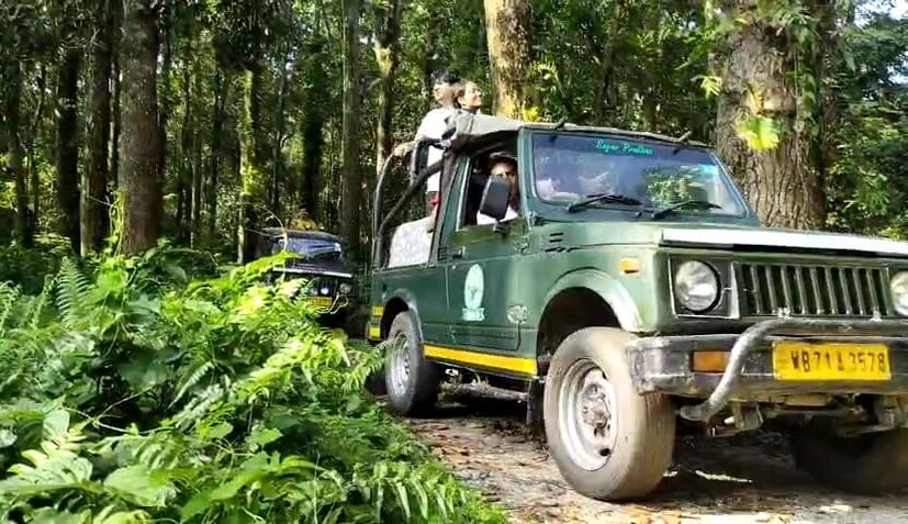 অবশেষে দীর্ঘ প্রতীক্ষার অবসান। তিন মাস বন্ধ থাকার পর শুক্রবার থেকে পর্যটকদের জন্য খুলে গেল ডুয়ার্সের অভয়ারণ্য এবং সংরক্ষিত বনাঞ্চল। (তথ্য ও ছবি : সুরজিৎ দে)
