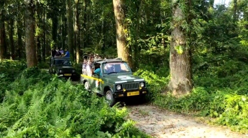 জঙ্গল খোলার প্রথমদিনেই সাত সকালেই জঙ্গল সাফারি করতে পর্যটকদের ভিড় লক্ষ করা গেল ডুয়ার্সের গরুমারা জঙ্গলে। 