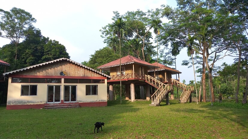আর জঙ্গল খোলার প্রথমদিনেই সাত সকালেই জঙ্গল সাফারি করতে পর্যটকদের ভিড় দেখা গেল ডুয়ার্সের গরুমারা জঙ্গলে। 