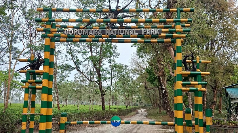 পুজোর আগে ইতিমধ্যে ডুয়ার্সের বিভিন্ন হোটেল, রিসোর্টে পর্যটকদের বুকিং আসতে শুরু করেছে। তিন মাস পর পর্যটন ব্যবসায়ীরা আশাবাদী পুজোর মরশুমে হয়তো ভাল ব্যবসা হবে।