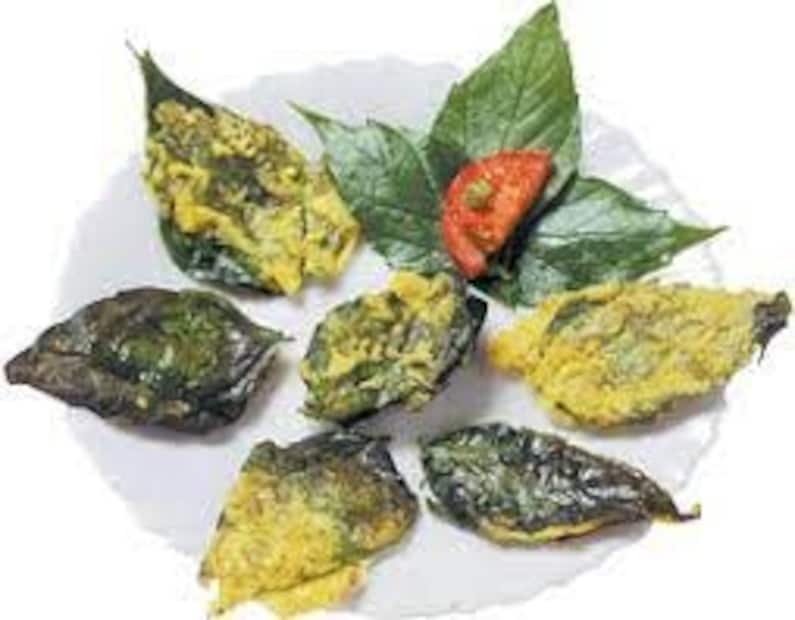 পরিপাক ক্রিয়ায় সাহায্য করে অরুচি কাটিয়ে মুখে রুচি ফিরিয়ে আনে শিউলিপাতার রস ৷
