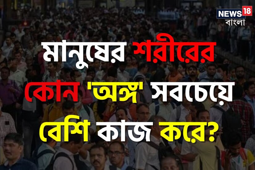 যখনই পড়াশোনা বা চাকরির কথা আসে স্বাভাবিকভাবেই উঠে আসে পরীক্ষা আর ইন্টারভিউয়ের প্রসঙ্গ। যার একটি বড় অংশ জুড়ে থাকে সাধারণ জ্ঞান। কারণ পড়াশোনা হোক বা চাকরির পরীক্ষা, সবেতেই জরুরি সাধারণ জ্ঞানের ভাণ্ডার।