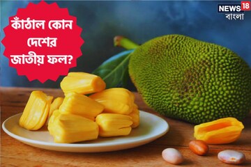 বলুন তো কাঁঠাল কোন দেশের জাতীয় ফল...? 'নাম' শুনলে আকাশ থেকে পড়বেন