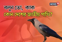 ৯৯% মানুষই 'সঠিক' উত্তর দিতে 'ফেল'...! বলুন তো কাক কোন দেশের জাতীয় পাখি?