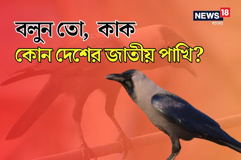যখনই পড়াশোনা বা চাকরির কথা আসে স্বাভাবিকভাবেই উঠে আসে পরীক্ষা আর ইন্টারভিউয়ের প্রসঙ্গ। যার একটি বড় অংশ জুড়ে থাকে সাধারণ জ্ঞান। কারণ পড়াশোনা হোক বা চাকরির পরীক্ষা, সবেতেই জরুরি সাধারণ জ্ঞানের ভাণ্ডার।