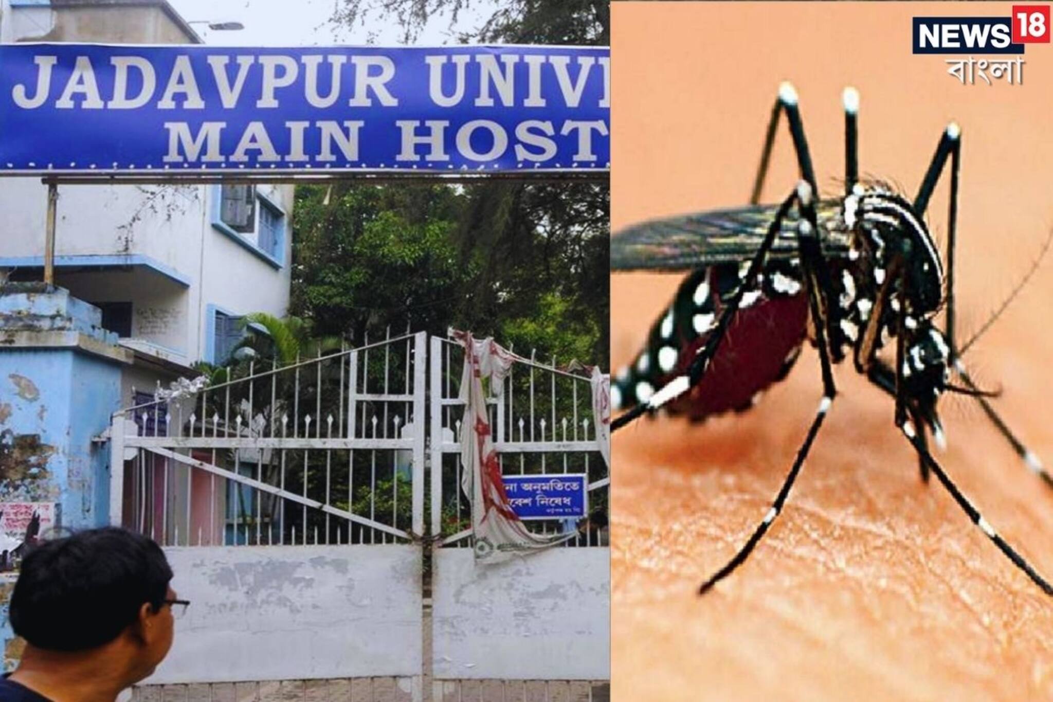 ১২ ঘণ্টায় আরও ১২ জন জ্বরে কাবু! ৬ পড়ুয়া হাসপাতালে! যাদবপুরে ডেঙ্গি আতঙ্ক