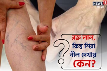 রক্ত লাল অথচ হাতের শিরা নীল...! কেন বলুন দেখি? চমকে যাবেন কারণ শুনলে!
