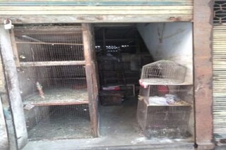 প্রতীকী চিত্র