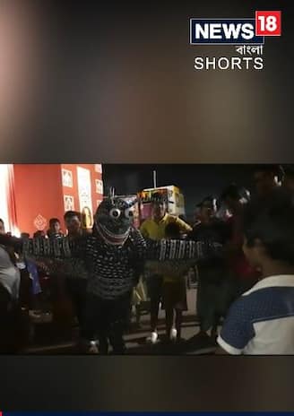 রাস্তায় বিশাল মশা! ডেঙ্গু সচেতনতায় বিশেষ উদ্যোগ 