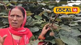 বিদেশি ফলে নজর দিয়ে হয়েছিলেন হাস্যাস্পদ; আজ নিজের লাভের অঙ্কে তাক লাগিয়ে দিচ্ছেন এই মহিলা