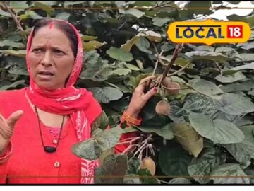 বিদেশি ফলে নজর দিয়ে হয়েছিলেন হাস্যাস্পদ; আজ নিজের লাভের অঙ্কে তাক লাগিয়ে দিচ্ছেন এই মহিলা
