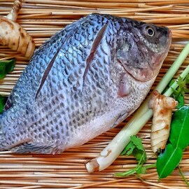 তেলাপিয়া মাছ কি বিষাক্ত? মহিলার ভয়ঙ্কর পরিণতি দেখে ভয় কাঁপছেন অনেকে তেলাপিয়া মাছ কি বিষাক্ত? মহিলার ভয়ঙ্কর পরিণতি দেখে ভয় কাঁপছেন অনেকে