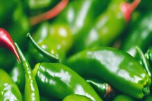 'Capsaicin' ভর্তি...! কচ কচ করে চিবিয়ে কাঁচালঙ্কা খাচ্ছেন বেশি বেশি? সাবধান!
