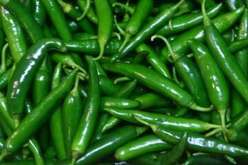 'Capsaicin' ভর্তি...! কচ কচ করে চিবিয়ে কাঁচালঙ্কা খাচ্ছেন বেশি বেশি? সাবধান!