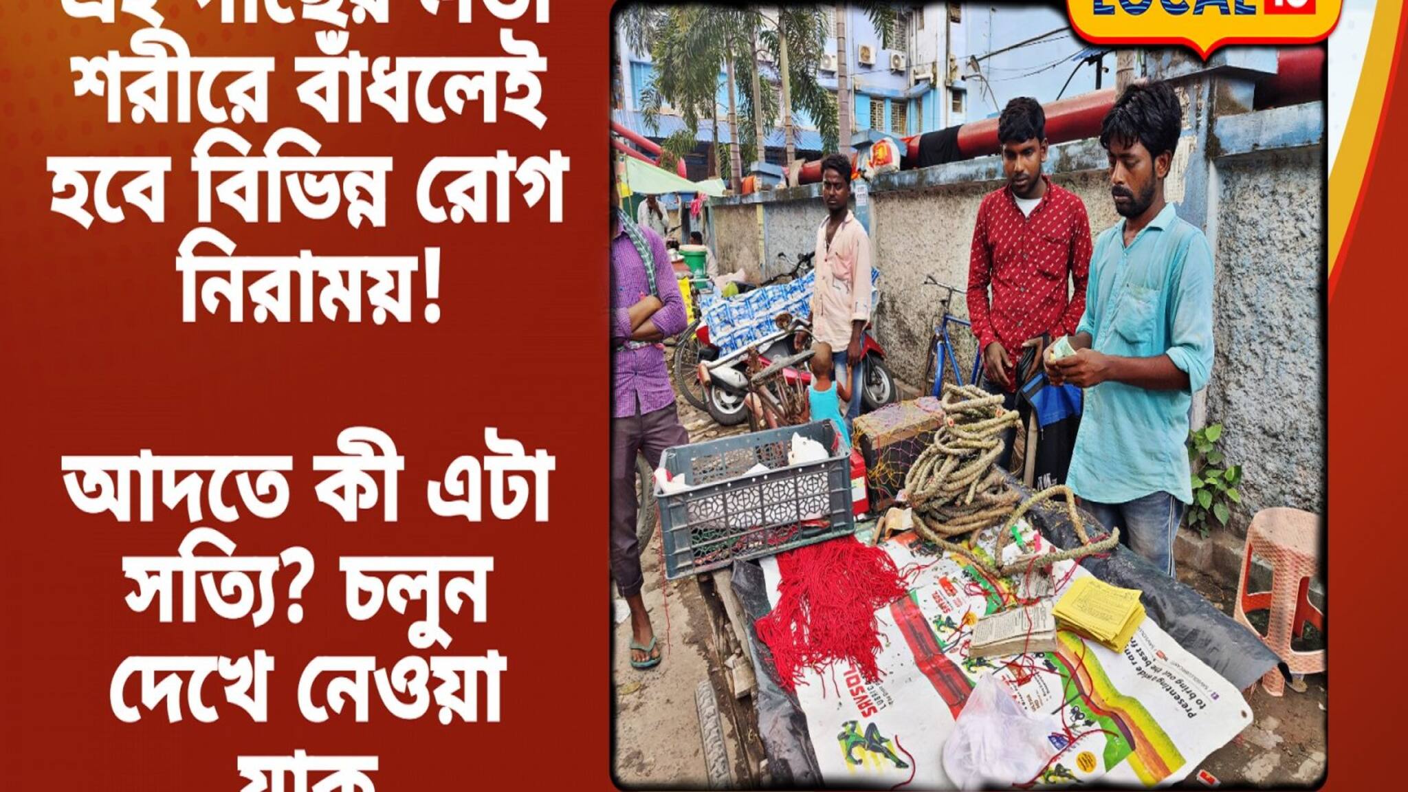 Health Tips: ২১ মিনিটে ঘটবে ম্যাজিক! অ্যালার্জি, চুলকানি থেকে মিলবে মুক্তি, হাতে থাকুক এই ভেষজ