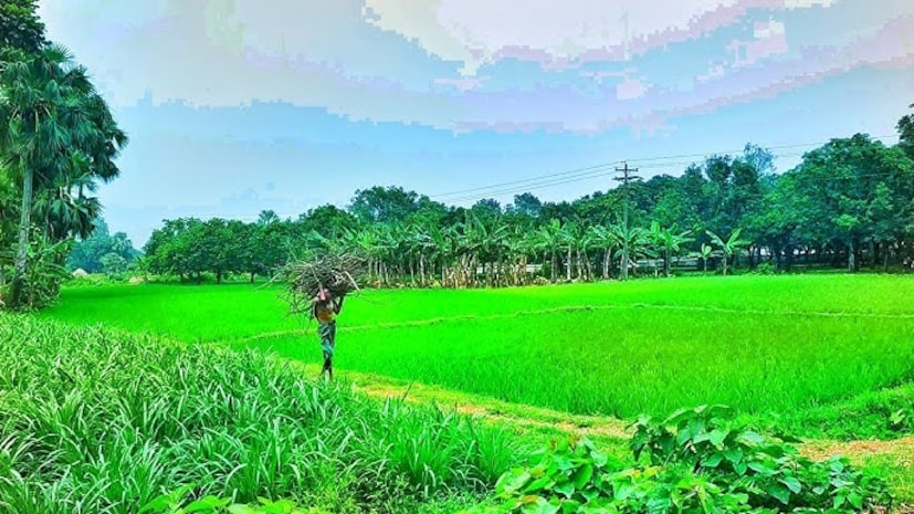 তবে, বারওয়ান কালা গ্রামের পুরুষেরা যে বিয়ে করতে চান না, তা নয়। আসলে কোনও মহিলা এই গ্রামের পুরুষদের বিয়ে করতে চান না। গত ৫০ বছরে কোনও নারী এই গ্রামের কোনও পুরুষকে বিয়ে করতে রাজি হননি। ফলে এ গ্রামের পুরুষরা অবিবাহিতই থেকে যান। 