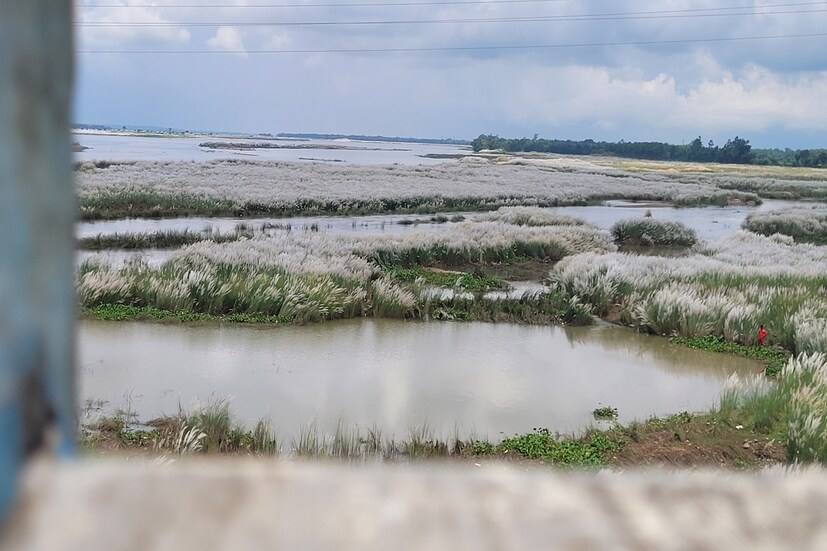 পশ্চিম মেদিনীপুরের কেশিয়াড়ির সুবর্ণরেখা নদীর দুই পাড় সাদা কাশবনে ঢাকা। নদী তার আপন খেয়ালে বয়ে চলছে। আর তার দুই পাশ অপরূপ সৌন্দর্যে মোড়া।