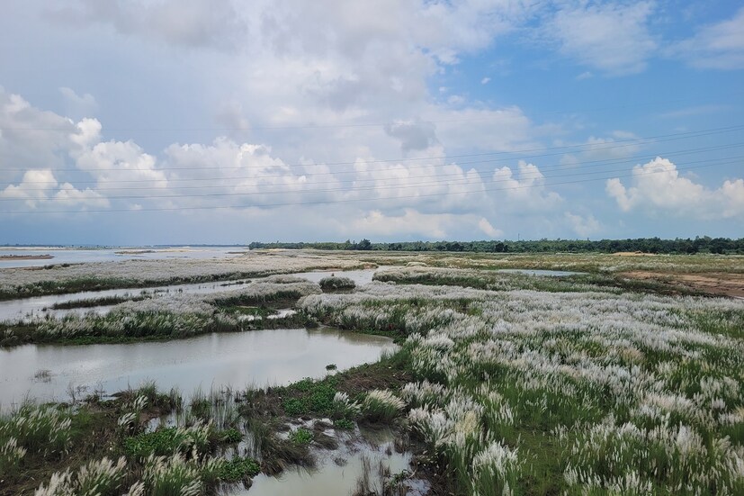  দিনের শেষে ক্লান্তি দুর করতে সাদা কাশের বন নজর কাড়বে। সাথে ছবি তোলার অসাধারন মুহূর্ত।