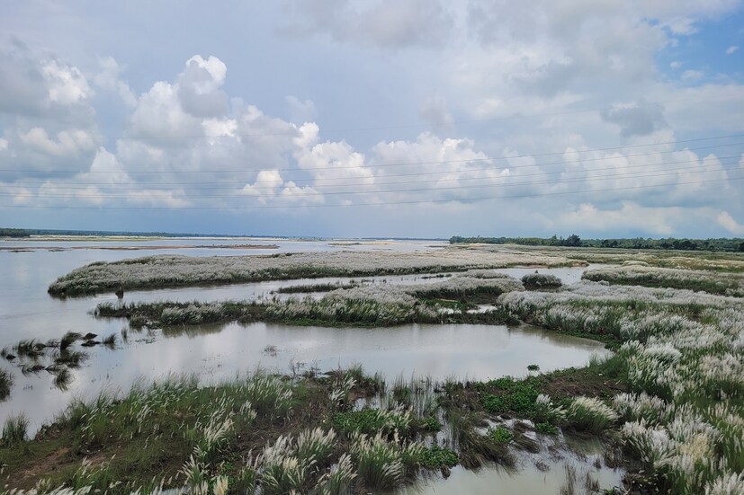  নদীর দুই পাড়ে ঘন ঘন কাশবন।আর সাথে জঙ্গলকন্যা সেতু। সেতু থেকে চেখে দেখা যাবে এই প্রকৃতির সৃষ্টিকে।