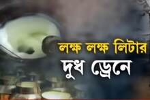 লক্ষ লক্ষ লিটার দুধ ফেলে দেওয়া হচ্ছে ড্রেনে, কারণ জানলে চমকে যাবেন, দেখুন ভিডিও