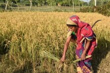 প্রধানমন্ত্রী কিষাণ যোজনার সুবিধা পাচ্ছেন? আপনার জন্য রয়েছে বিশেষ সুখবর