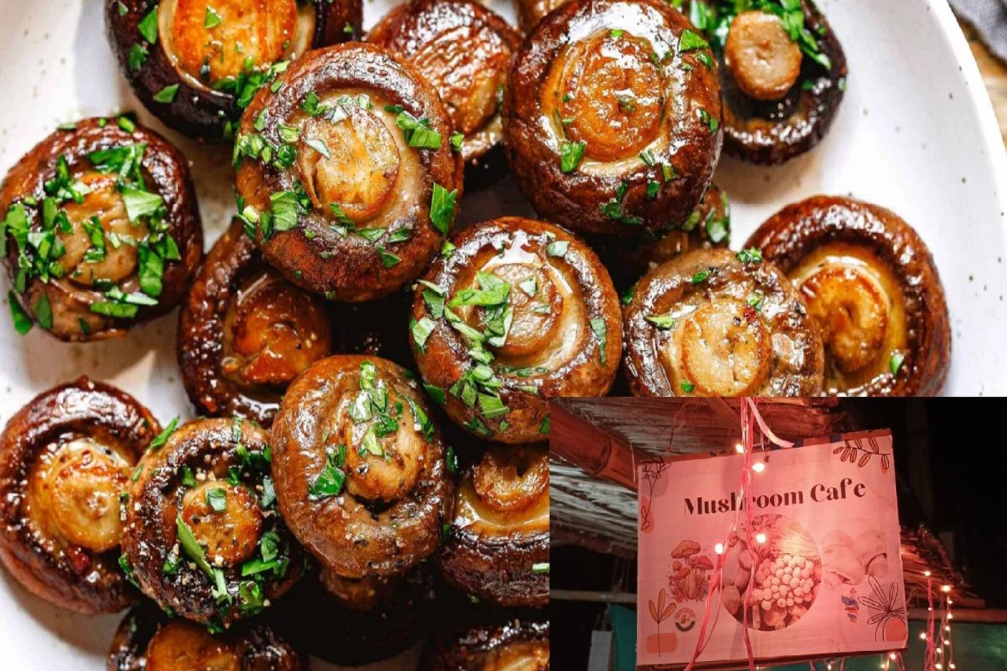 Mushroom: মেনুতে মাছ-মাংস বাদ! ক্যাফেতে হুড়মুড়িয়ে কী খায় সবাই? এই রেসিপিতেই মালামাল ব্যবসায়ী!