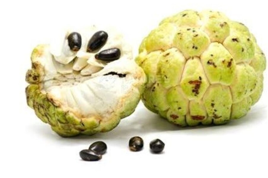 Ata is not only important in taste but also in quality  Excellent qualities.  But not only ata but ata seeds are equally beneficial.  Eating this fruit with small seeds cures various diseases of the body