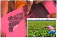 পুজোয় ভাইরাল কচুরিপানার শাড়ি! সুতির থেকেও আরামদায়ক! তাঁত, সুতিকে হার মানাচ্ছে!