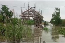 কী করে হবে দুর্গাপুজো? সব প্যান্ডেল জলের তলে! বানভাসি গোটা এলাকা! জানুন