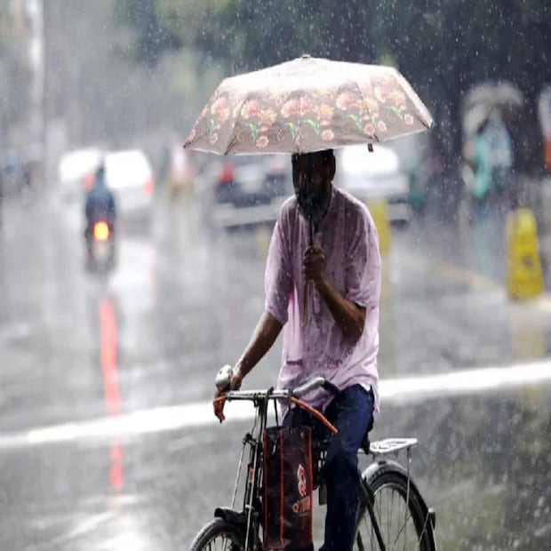 দশমী ও একাদশী অর্থাৎ মঙ্গল ও বুধবার গাঙ্গেয় পশ্চিমবঙ্গের সব জেলাতেই মেঘলা আকাশ থাকবে। বৃষ্টির সম্ভাবনা থাকবে সব জেলাতে। কলকাতা ও হাওড়ায় হালকা বৃষ্টির পূর্বাভাস। (রিপোর্টার-- বিশ্বজিৎ সাহা)
