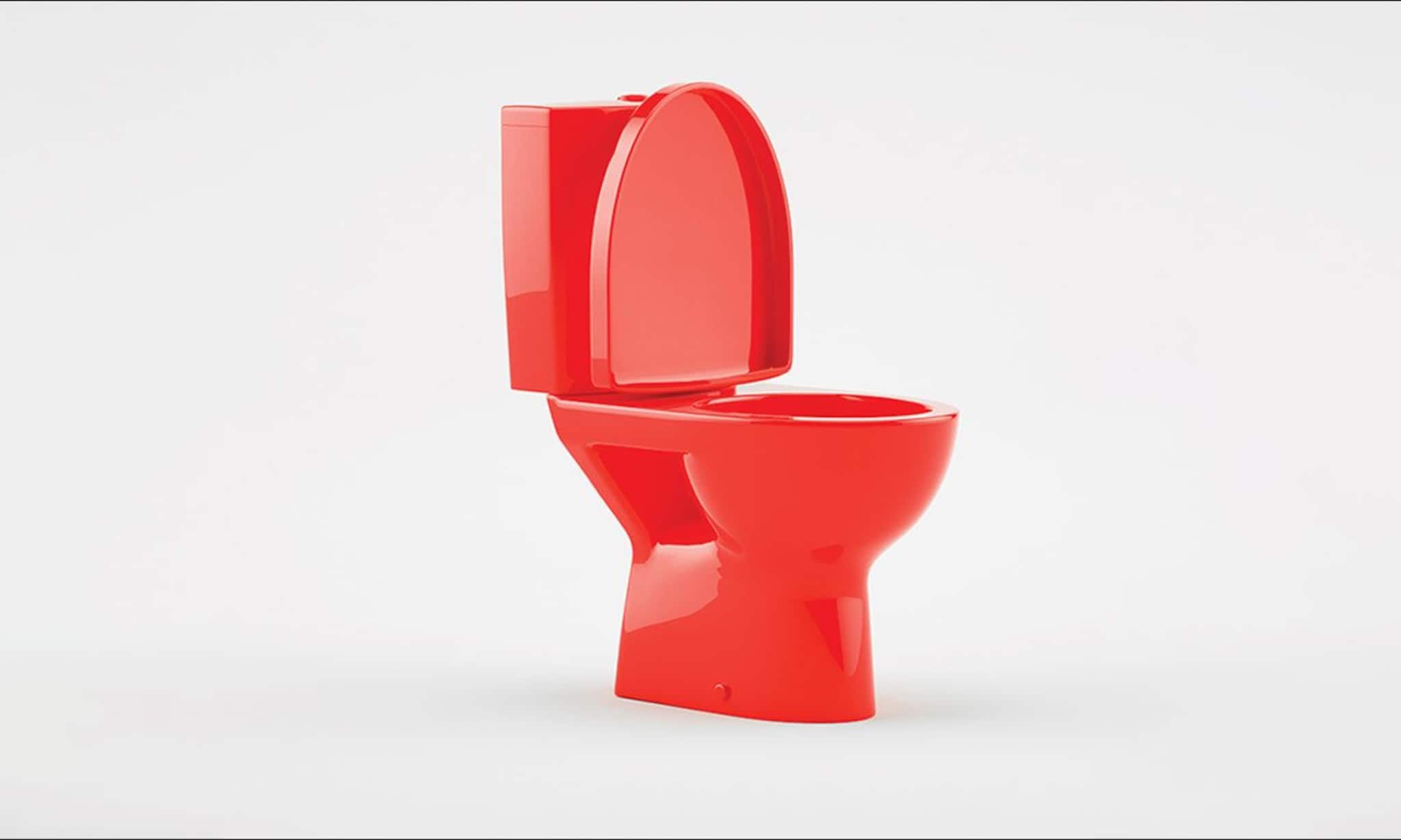 বর্ষা-নিরোধক টয়লেট ব্যবস্থারের জন্য উদ্ভাবনী প্রযুক্তি