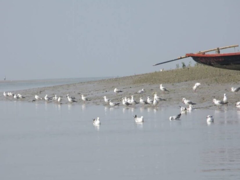 দ্বীপটিতে রয়েছে পরিযায়ী পাখি, ম্যানগ্রোভ জঙ্গল। এই দ্বীপে একবার এসে পৌঁছালে আর বাড়ি যেতে ইচ্ছা করবেনা আপনার। তাহলে আর দেরী কিসের ঘুরে আসুন এই অপরূপ সুন্দর দ্বীপে।