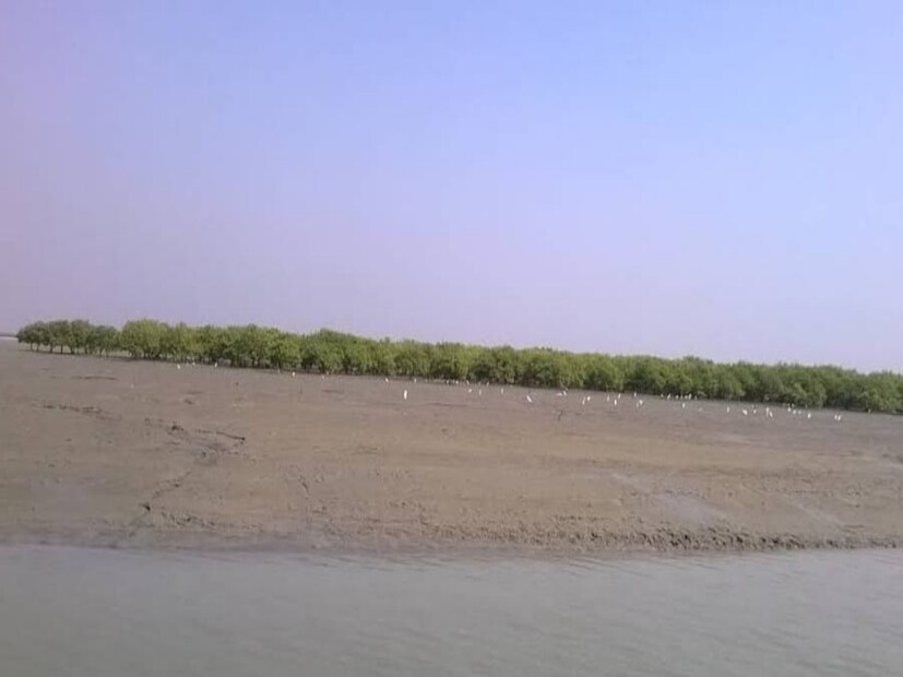 জম্বুদ্বীপের চারিদিকে রয়েছে সাদা বালির তট। দ্বীপের মোট আয়তন ১৯৫০ হেক্টর। বর্তমানে এটি সংরক্ষিত বনাঞ্চল। ফ্রেজারগঞ্জ থেকে এই দ্বীপে যেতে সময় লাগবে ৩০ থেকে ৪০ মিনিট।